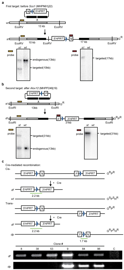 Extended Data Figure 2