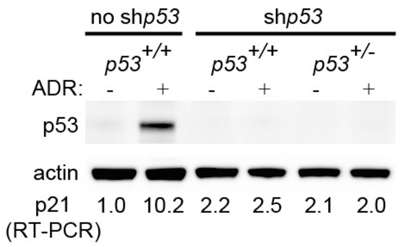 Extended Data Figure 6