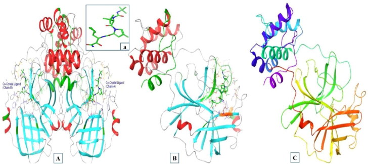 Figure 2.