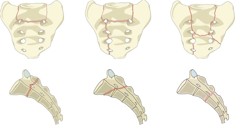 Fig. 7