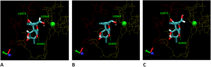 Figure 5