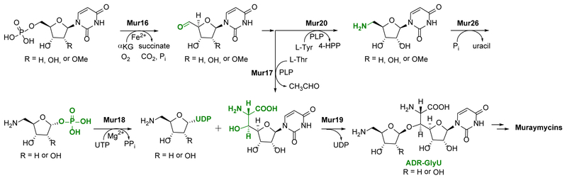 Figure 10.