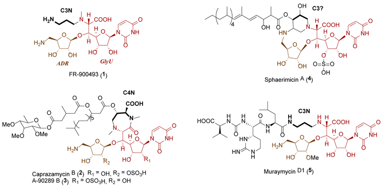 Figure 1.