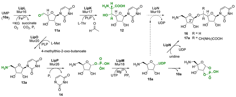 Figure 2.