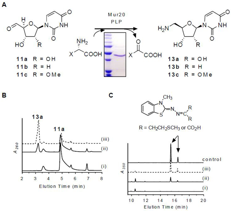 Figure 5.