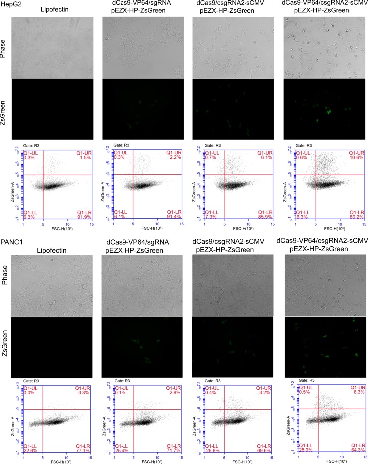 Figure 2—figure supplement 2.