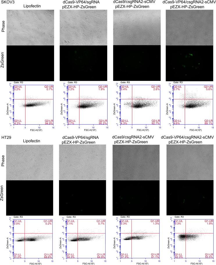 Figure 2—figure supplement 4.