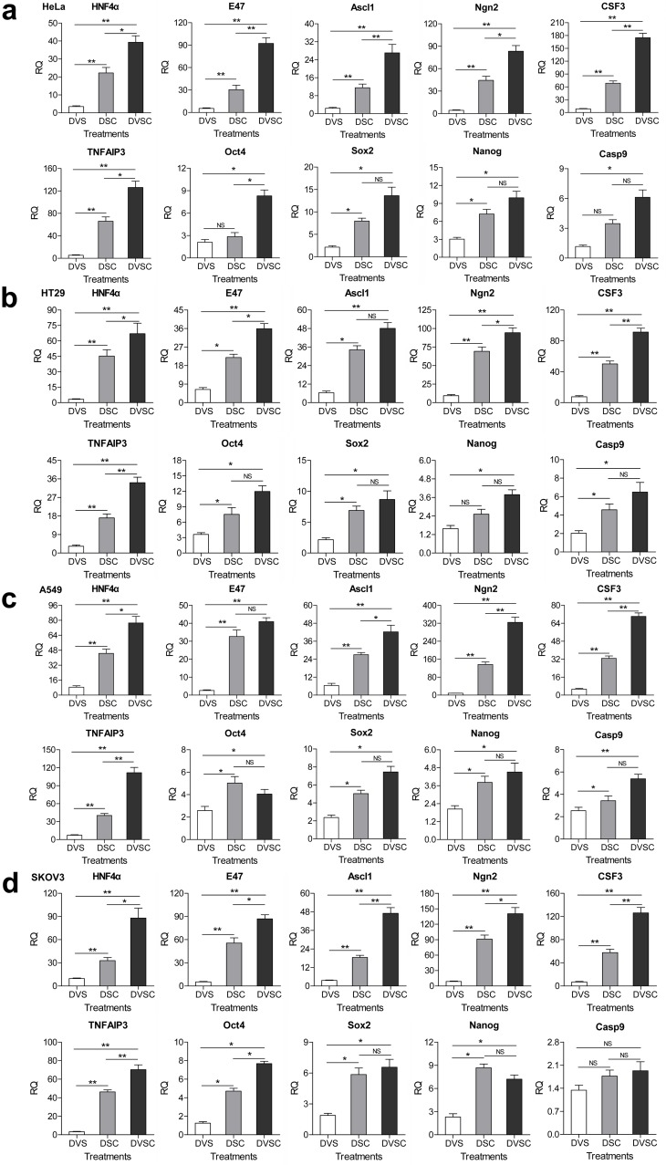 Figure 3—figure supplement 1.