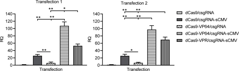 Figure 3—figure supplement 2.