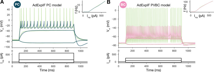 Figure 1—figure supplement 2.