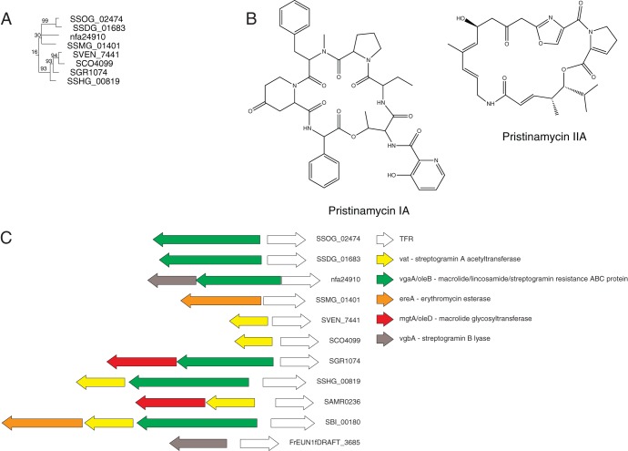 Fig 6