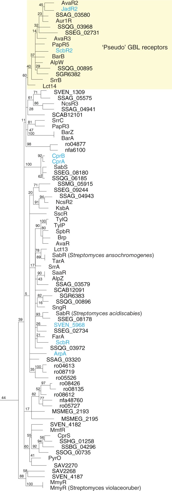 Fig 10