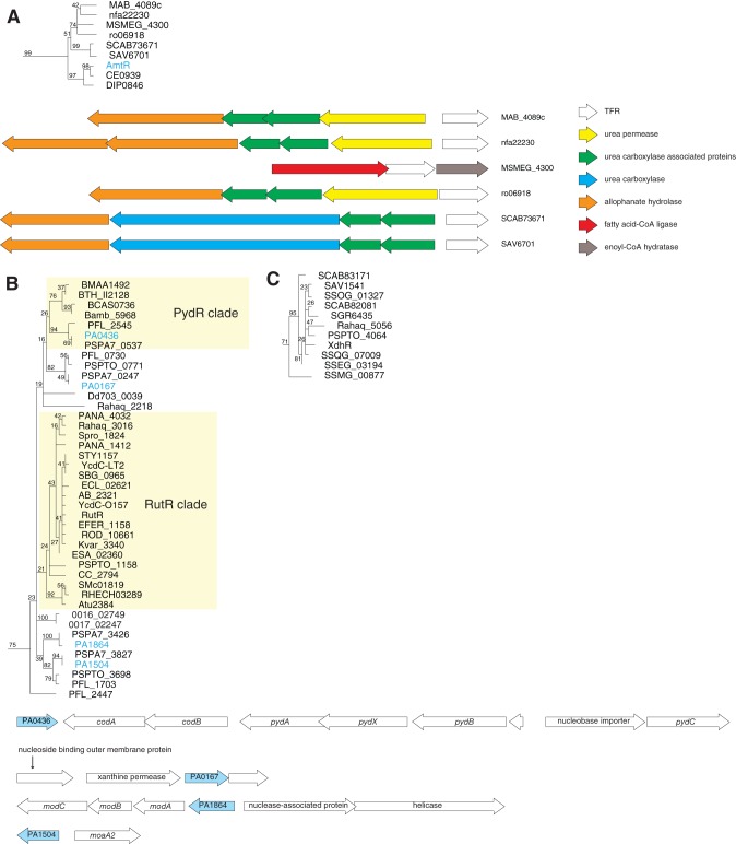 Fig 11