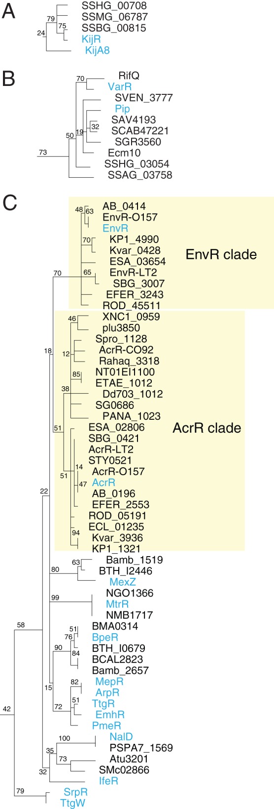 Fig 9