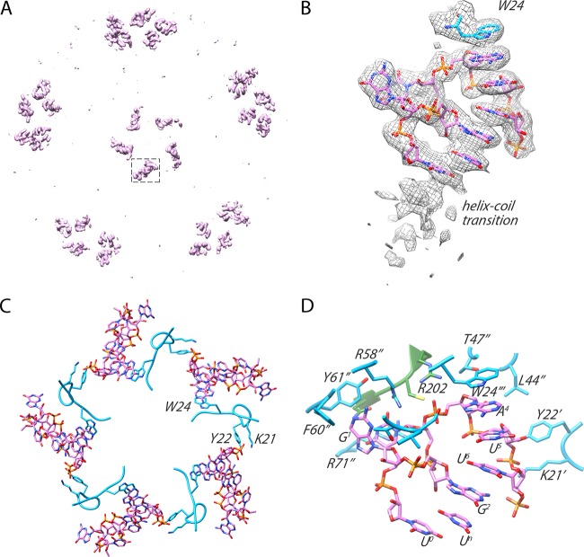 FIG 5