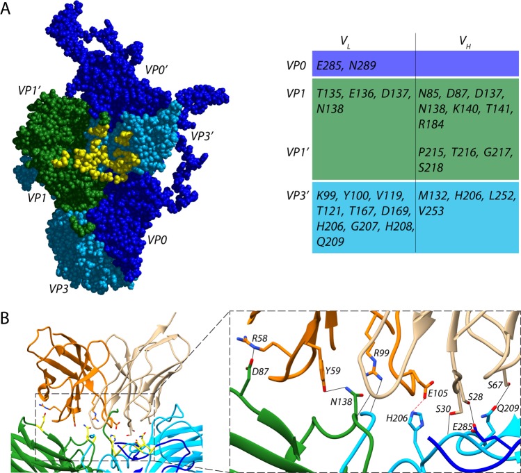 FIG 3