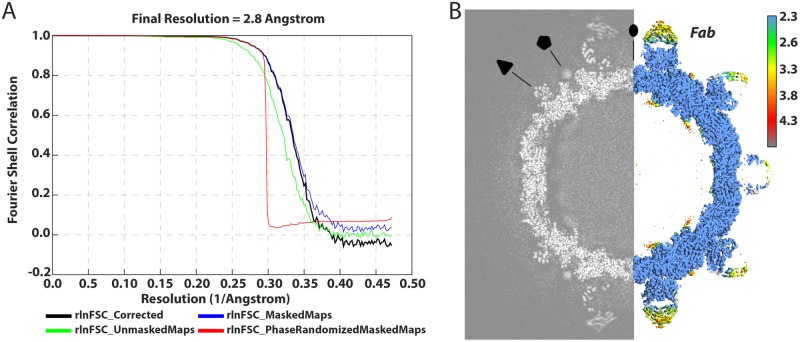 FIG 1