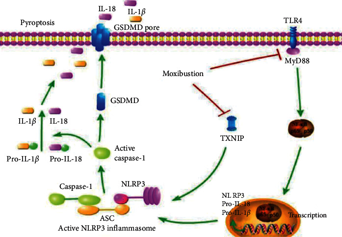 Figure 6