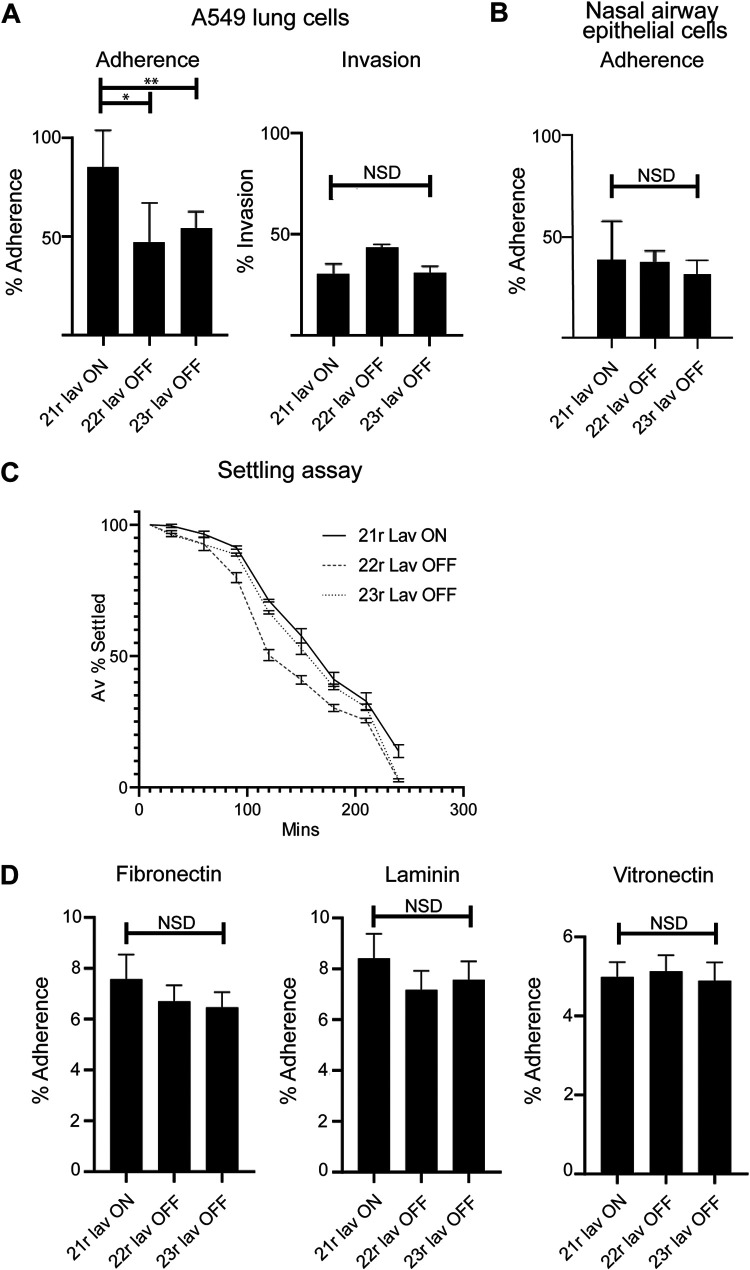 FIG 2