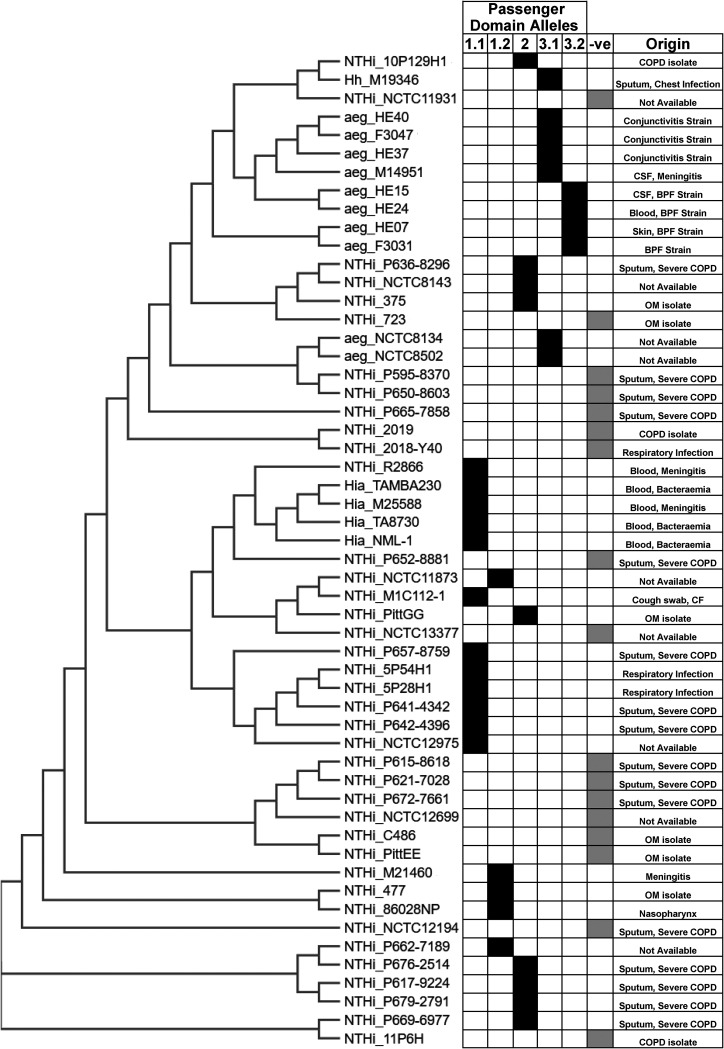 FIG 4