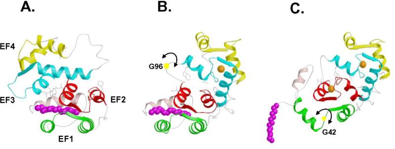 FIGURE 3