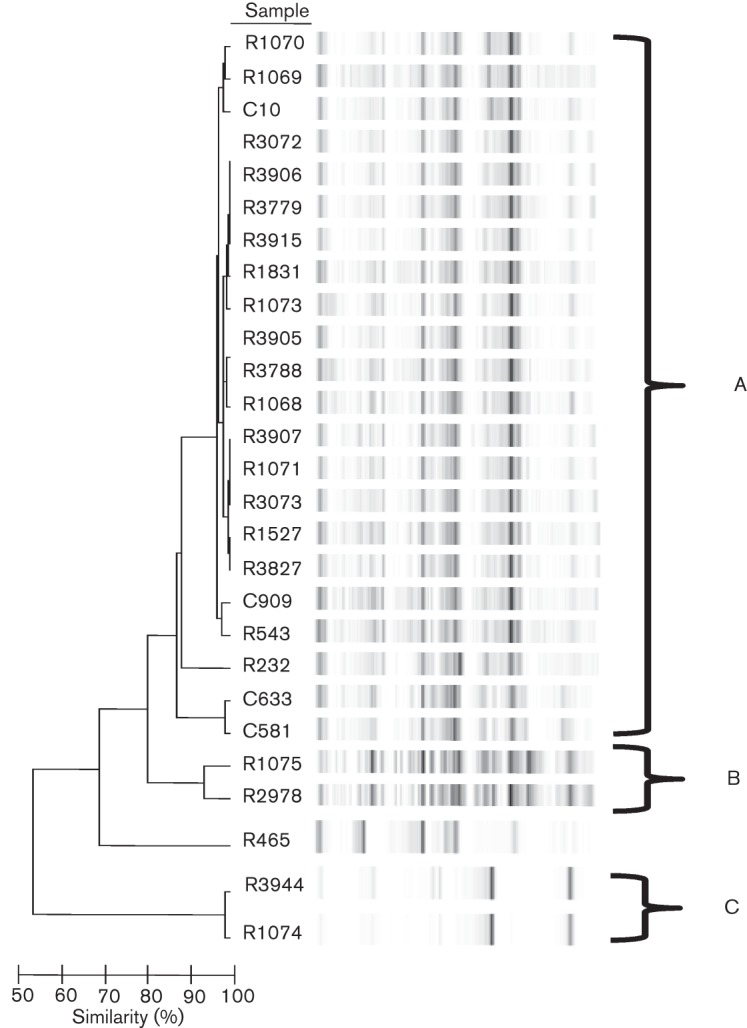 Fig. 1. 