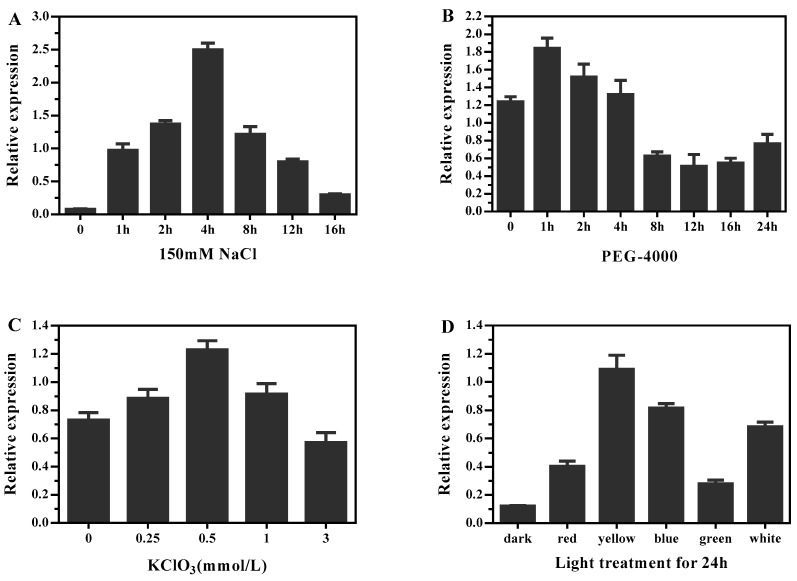 Figure 10