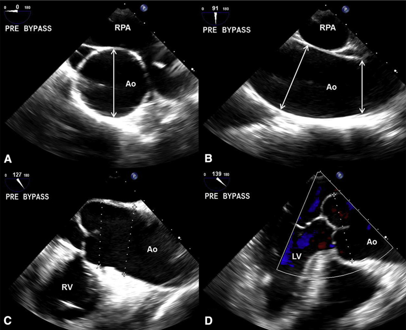 FIGURE 12.