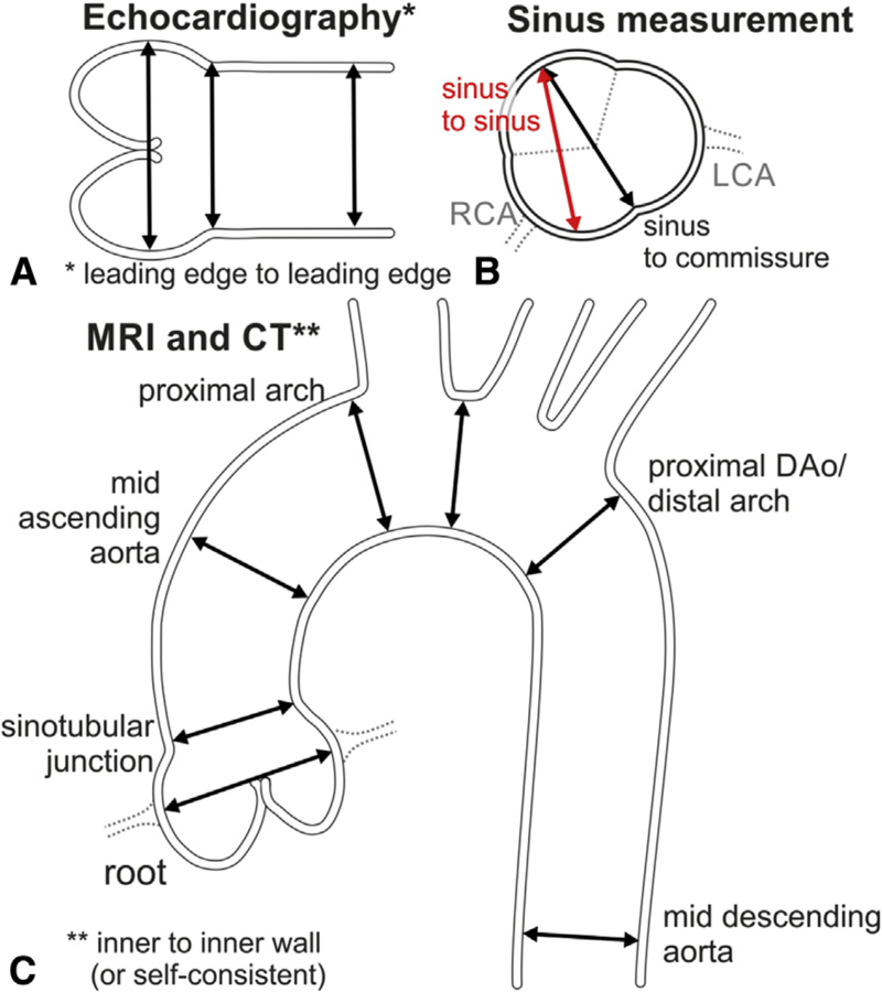 FIGURE 11.