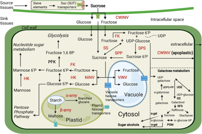 FIGURE 1