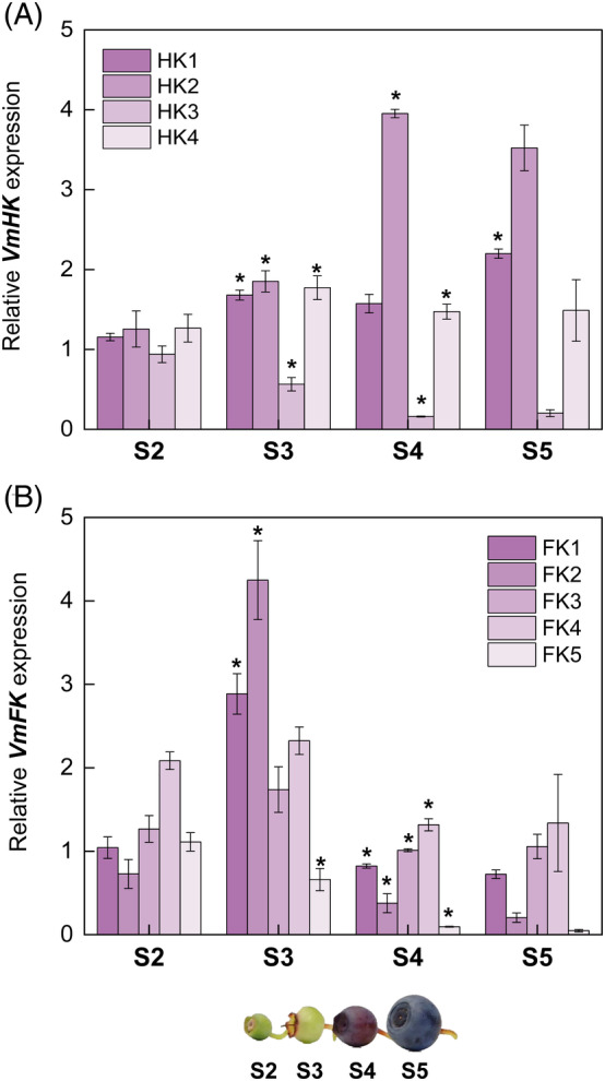 FIGURE 4