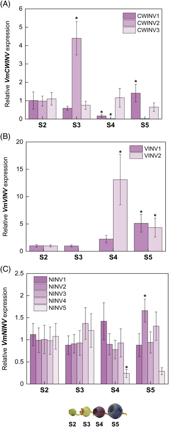 FIGURE 3