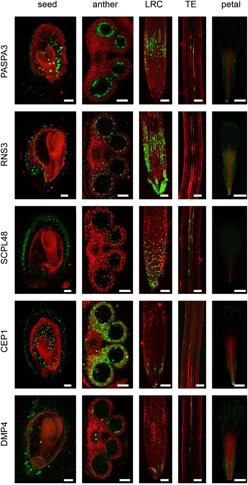 Figure 4.