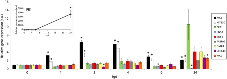 Figure 6.