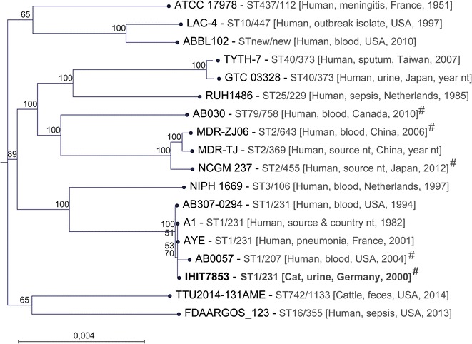 Fig. 3