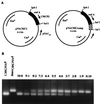 FIG. 1