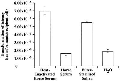 FIG. 5