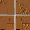 FIGURE 5.