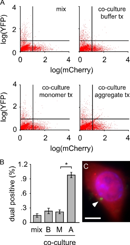 FIGURE 7.