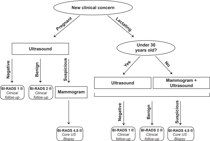 Diagnostic imaging algorithm for pregnant and lactating women with a new clinical concern. For pregnant patients or patients younger than age 30 who are breastfeeding with a BI-RADS category 4C or 5 abnormality, mammography ideally should be performed before biopsy.