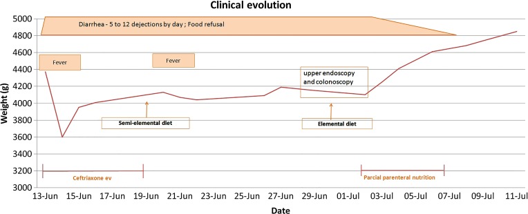 Figure 1