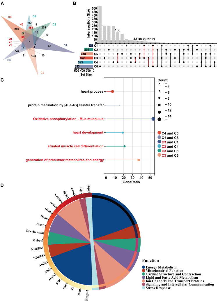 Figure 4