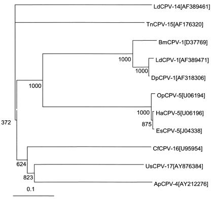 FIG. 9.