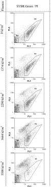 FIG. 6.