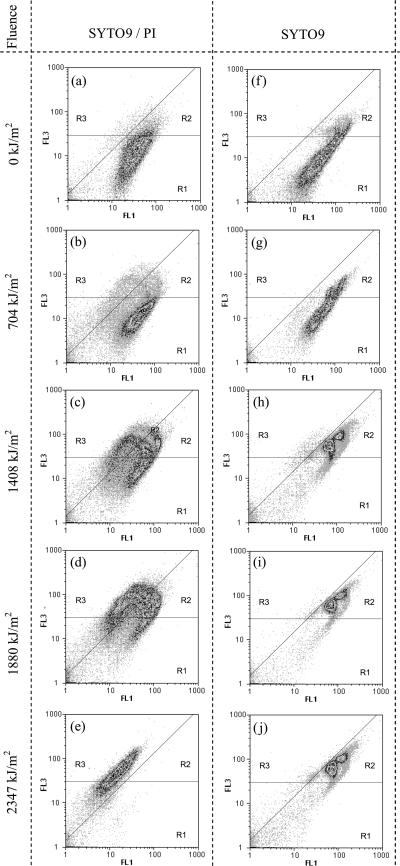 FIG. 1.