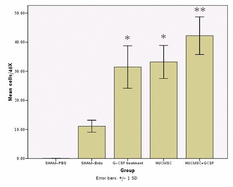 Figure 7.