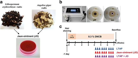 Fig. 1