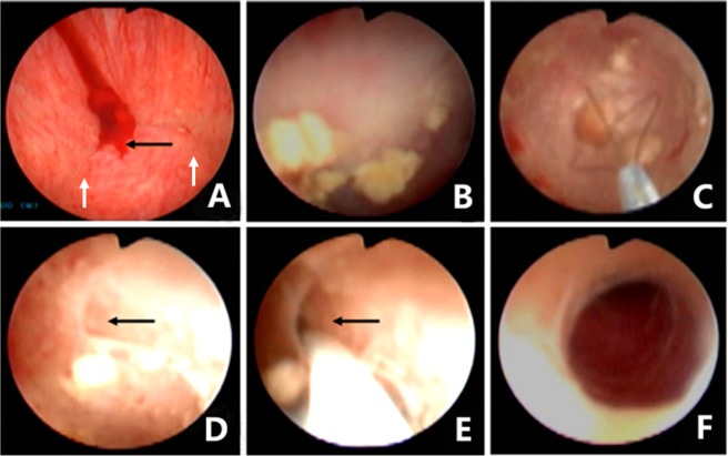 Figure 9