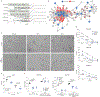 Extended Data Fig. 7 |