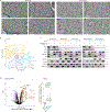 Extended Data Fig. 9 |